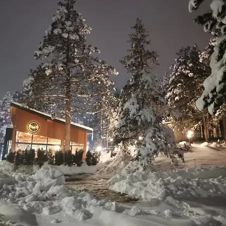 Silver Star Apartament