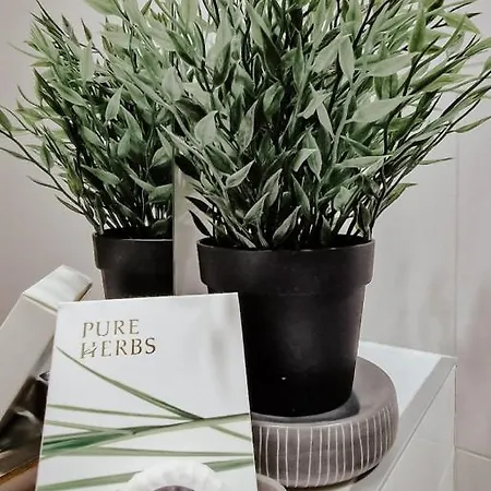 Daire Silver Star Zlatibor