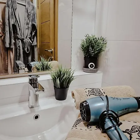 Silver Star Daire Zlatibor