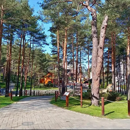 Apartament Silver Star