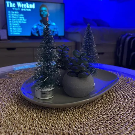 Apartament Silver Star