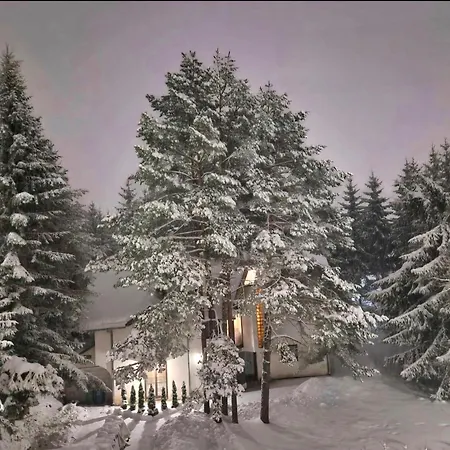 Apartament Silver Star Zlatibor