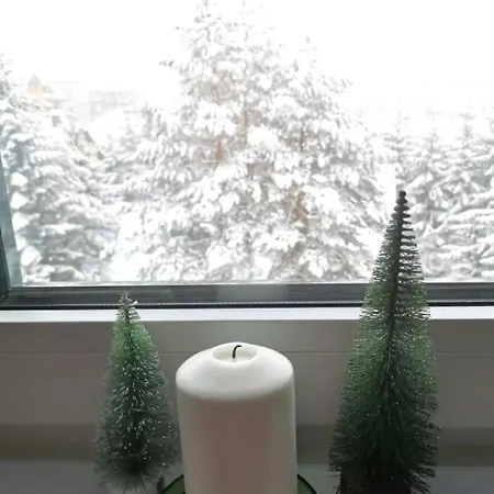 Daire Silver Star Zlatibor