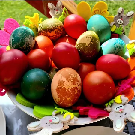 Silver Star Zlatibor