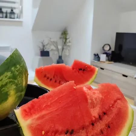 Silver Star * Zlatibor