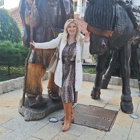 Silver Star 公寓 *