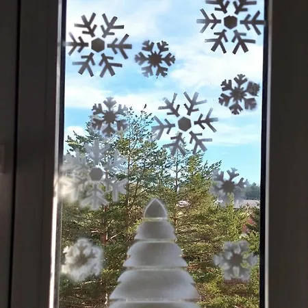 Silver Star Daire Zlatibor