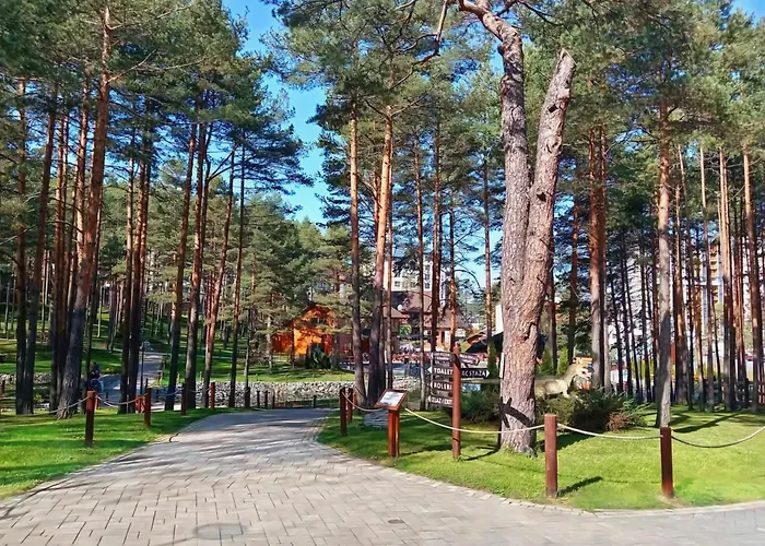 Apartament Silver Star