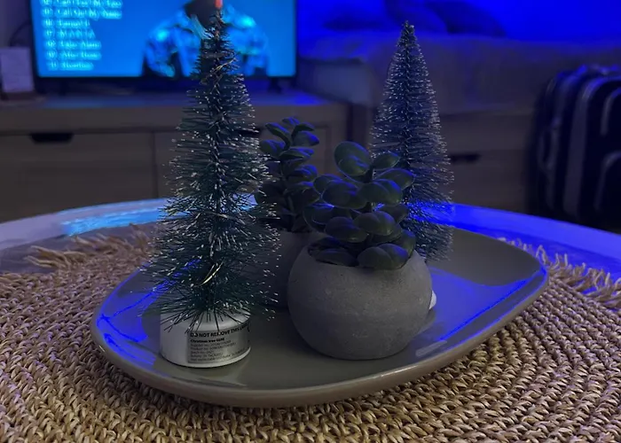 Apartament Silver Star