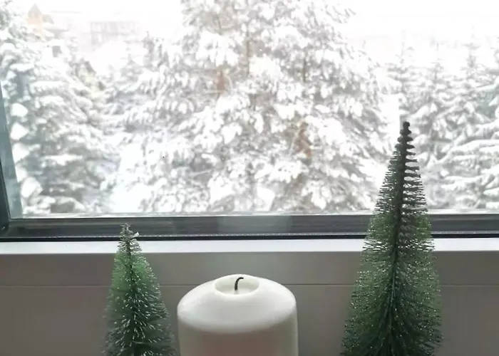 Apartman Silver Star Zlatibor