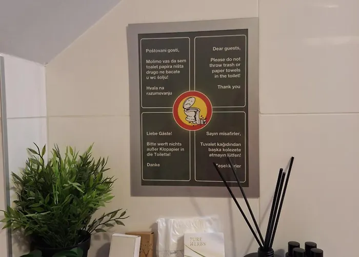 Silver Star Zlatibor