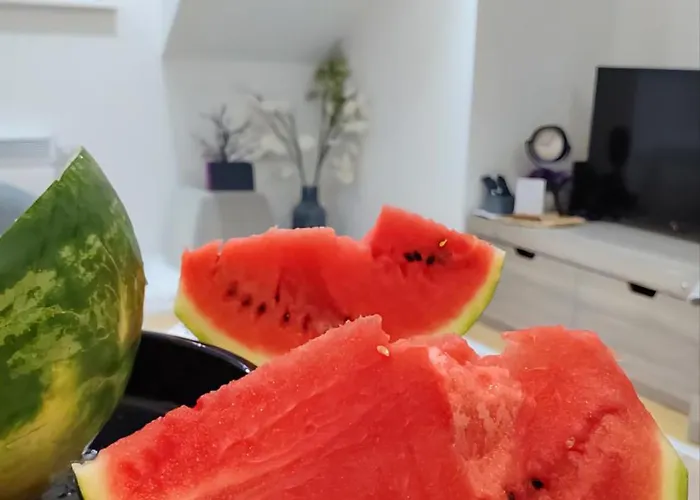 Silver Star * Zlatibor