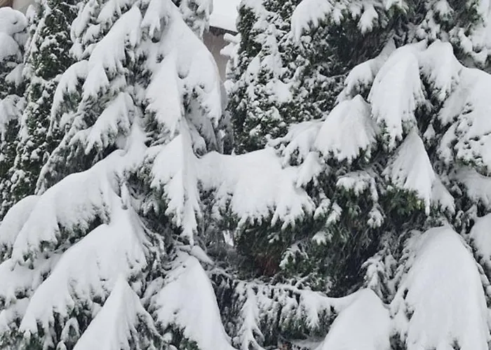 Apartament Silver Star Zlatibor