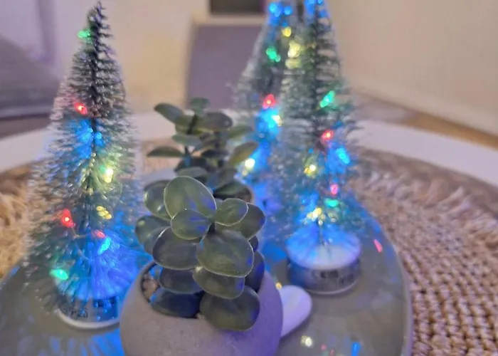 Silver Star Zlatibor