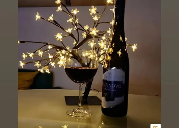 Apartament Silver Star Zlatibor